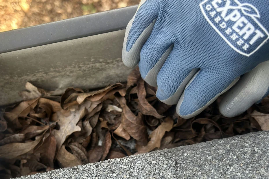 Gutter Cleaning Excelsior Springs, MO