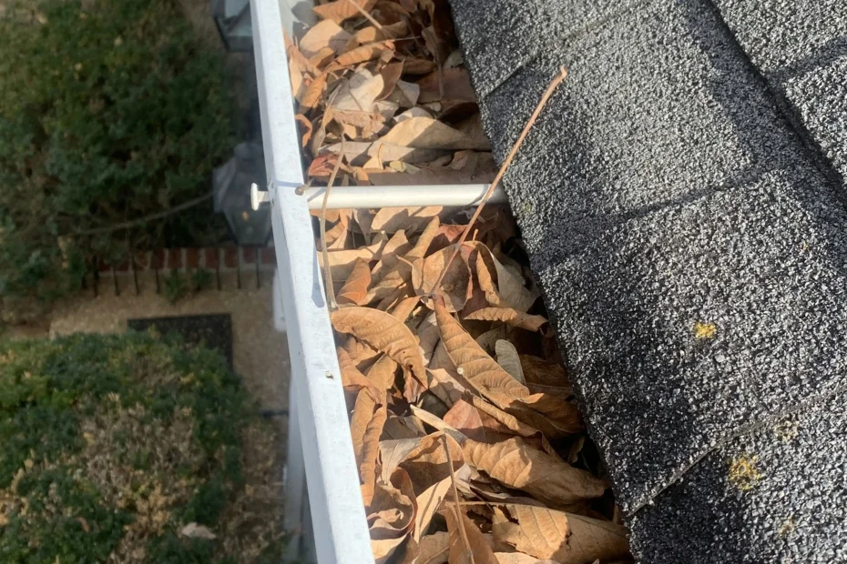 Gutter Cleaning Excelsior Springs, MO