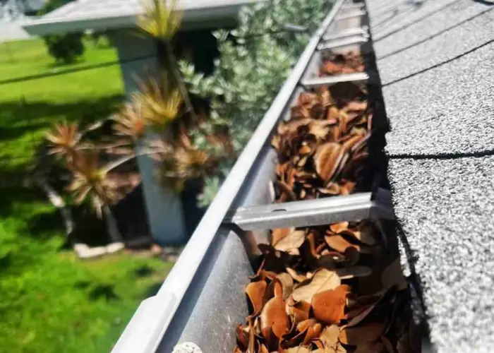 Gutter Cleaning Excelsior Springs, MO home page